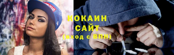 стаф Покачи