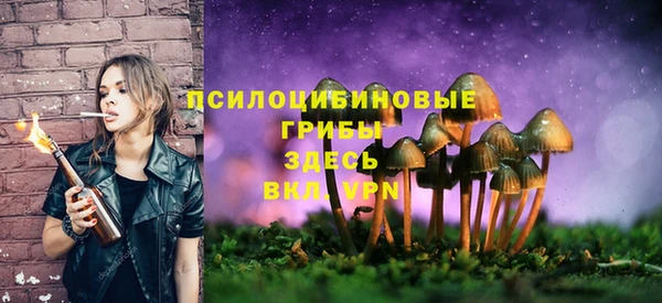 таблы Переславль-Залесский
