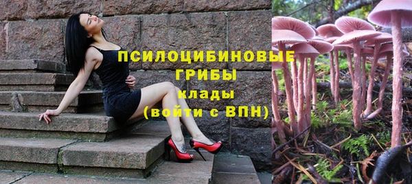 а пвп мука Пересвет